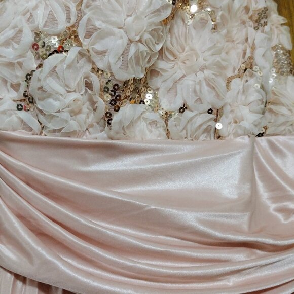 **Never worn** - Strapless Long Sequin Pleated Gown - Blush - Picture 3 of 5